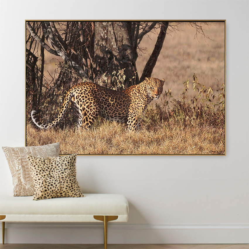 Cheetah on a tree | MUR Gallery