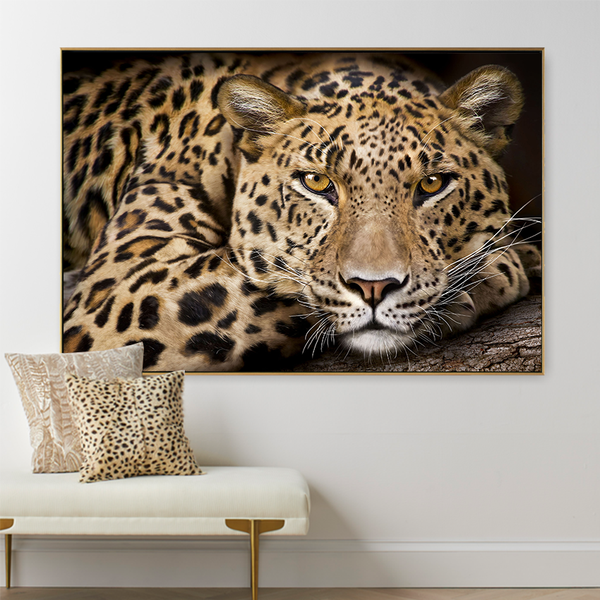 Leopard | MUR Gallery