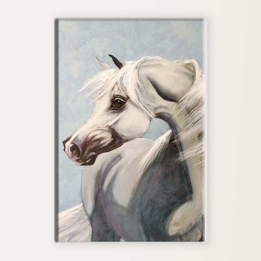 Arabian White Horse | MUR Gallery